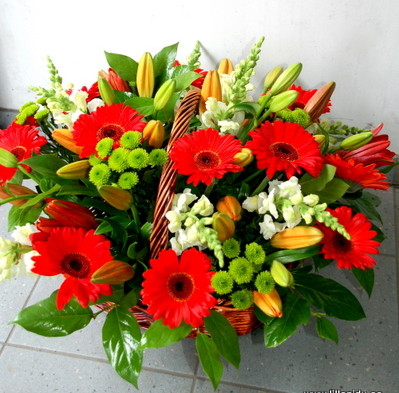 Colourful basket of Gerberas, Chrysantemums and Lilys