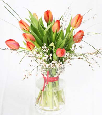 Tulips and greenery
