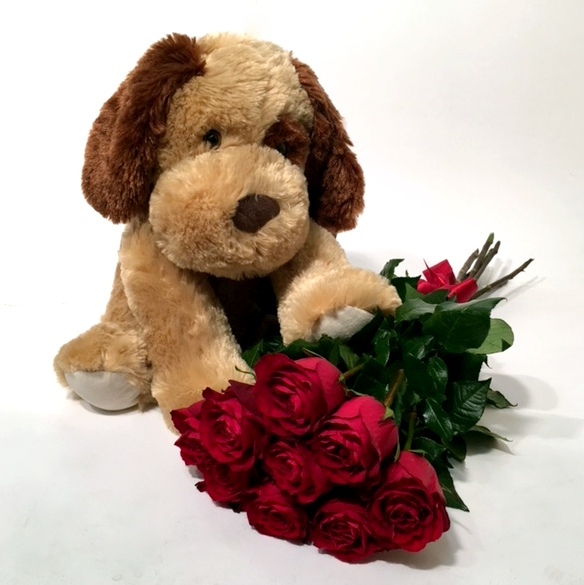 Cute fluffy dog and red roses
