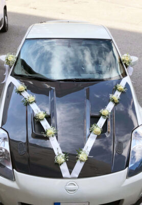 Autokaunistus1-819x1024