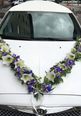 Autokaunistus10-819x1024