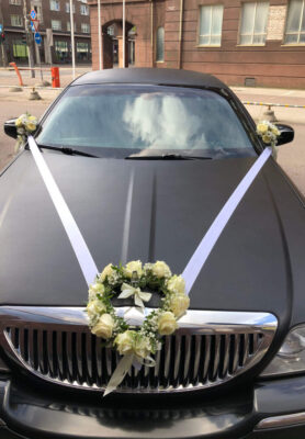 Autokaunistus3-768x1024