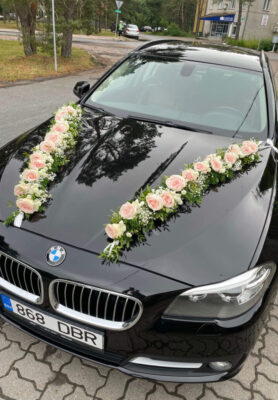 Autokaunistus6-768x1024