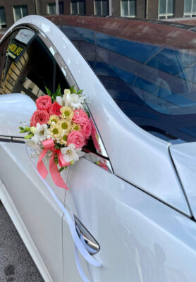 Autokaunistus9-819x1024