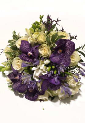 Pruudikimp14-768x1024