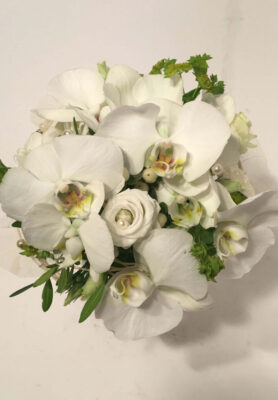 Pruudikimp21-819x1024