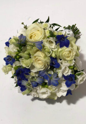 Pruudikimp37-767x1024