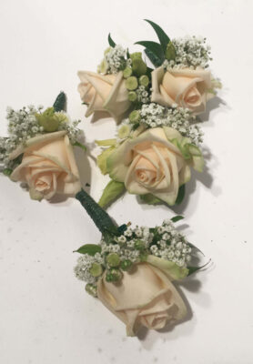 Rinnanoelad-819x1024